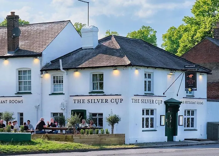 The Silver Cup